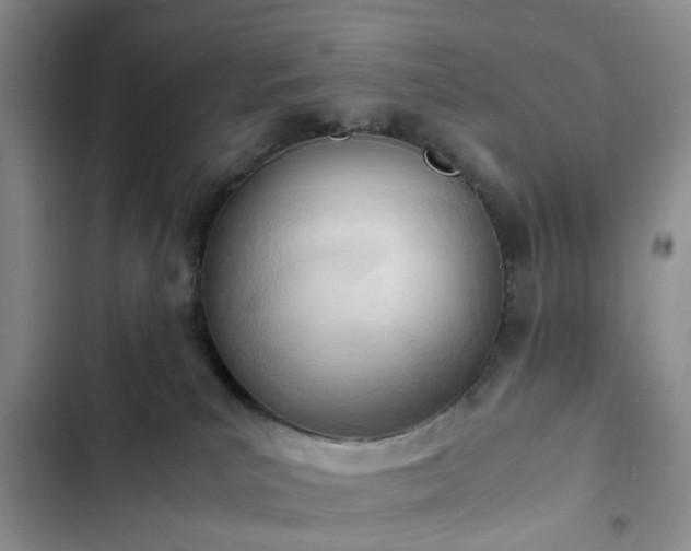 X0000102760039200808251039