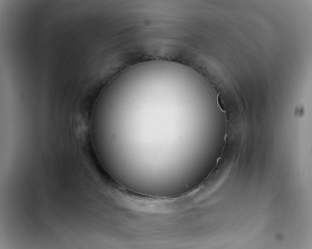 X0000102760040200808251039