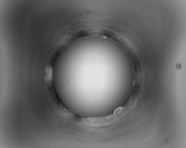 X0000102760041200808251039