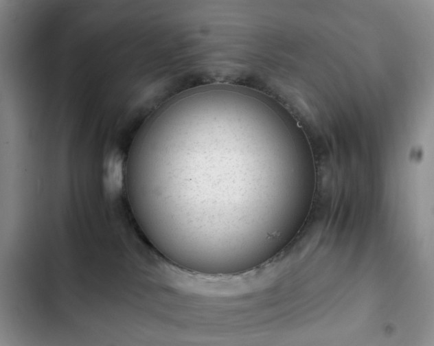 X0000102760042200808251039