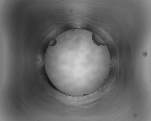 X0000102760043200808251039