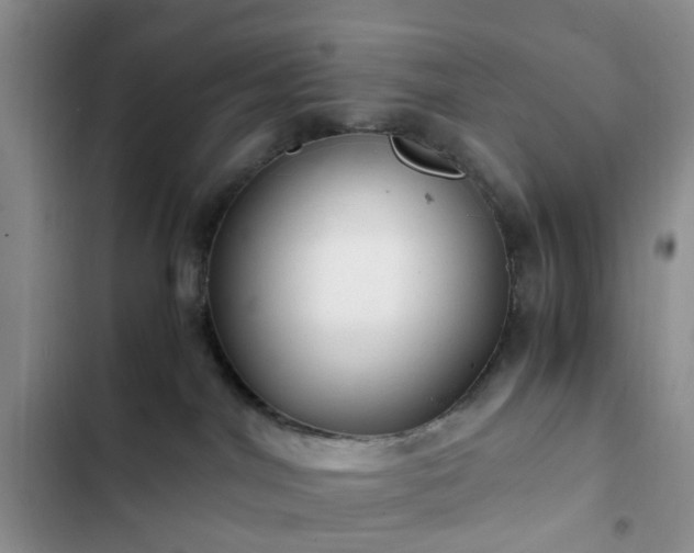 X0000102760044200808251039