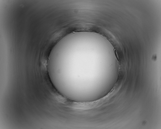 X0000102760045200808251039