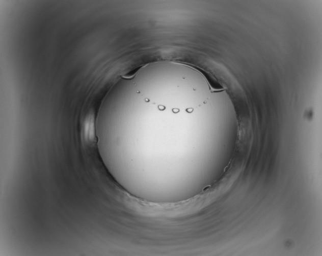 X0000102760046200808251039