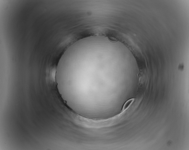 X0000102760047200808251039