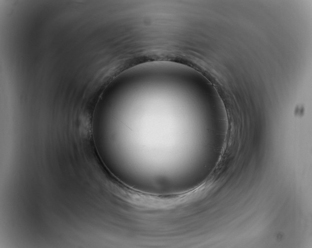 X0000102760048200808251039