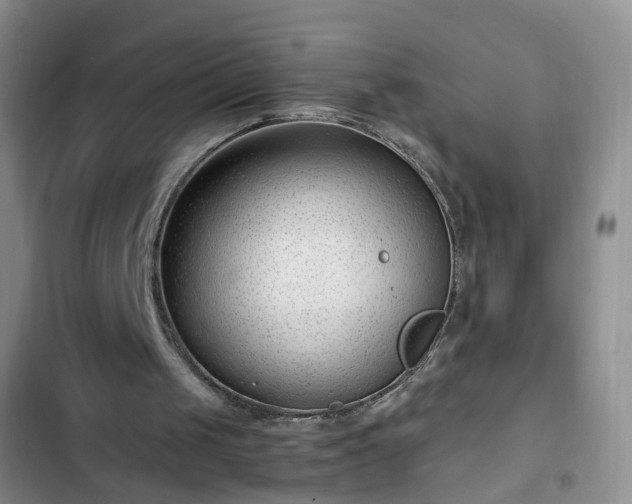 X0000102760049200808251038