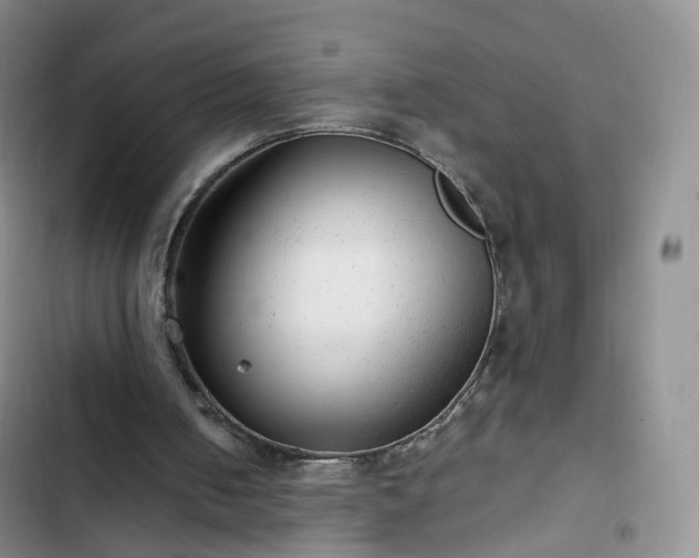 X0000102760050200808251038