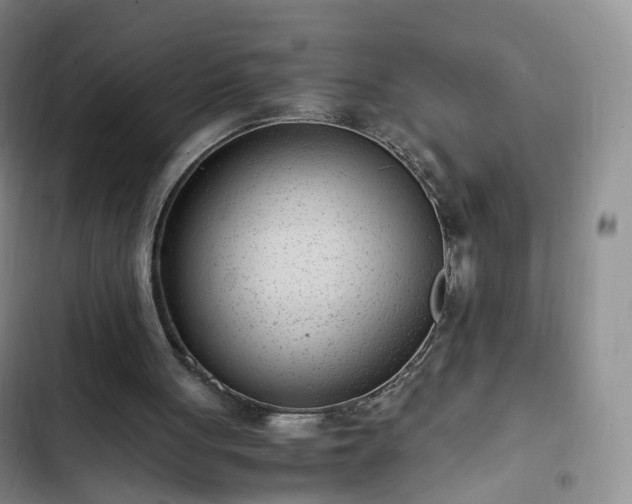 X0000102760051200808251038