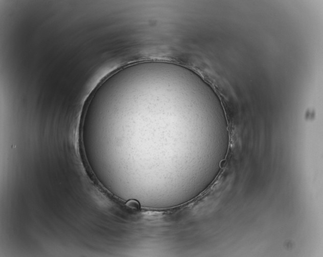 X0000102760052200808251038