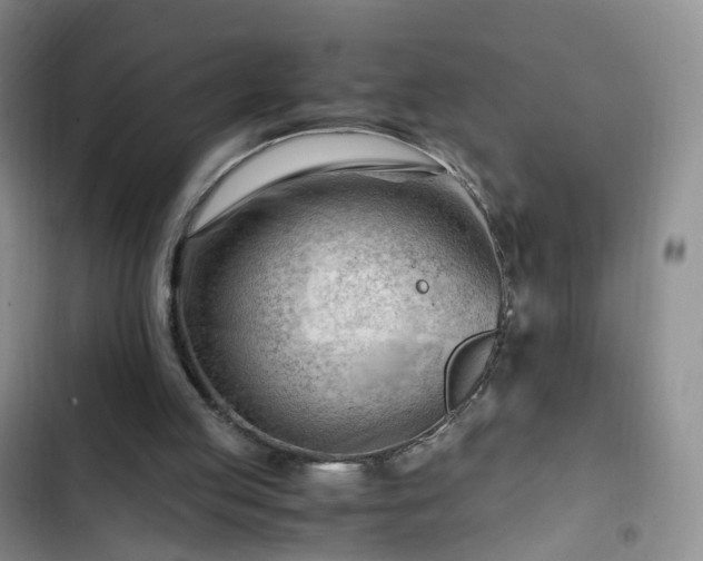 X0000102760053200808251038