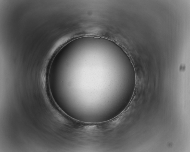 X0000102760054200808251038