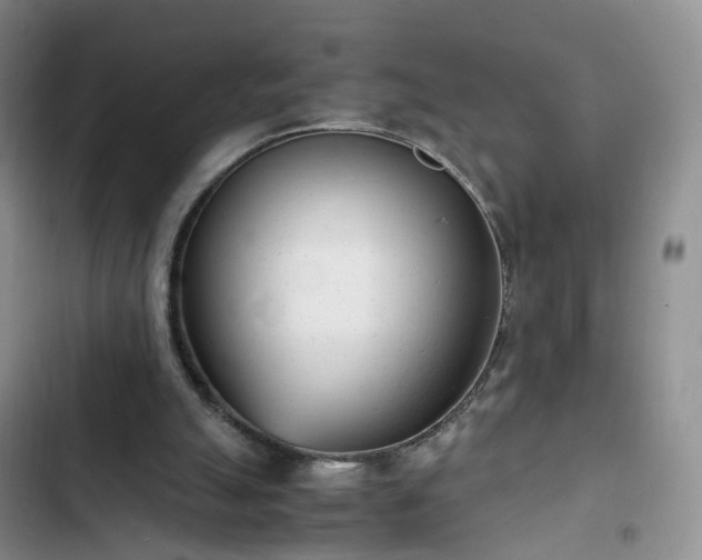 X0000102760055200808251038