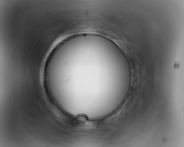 X0000102760056200808251038