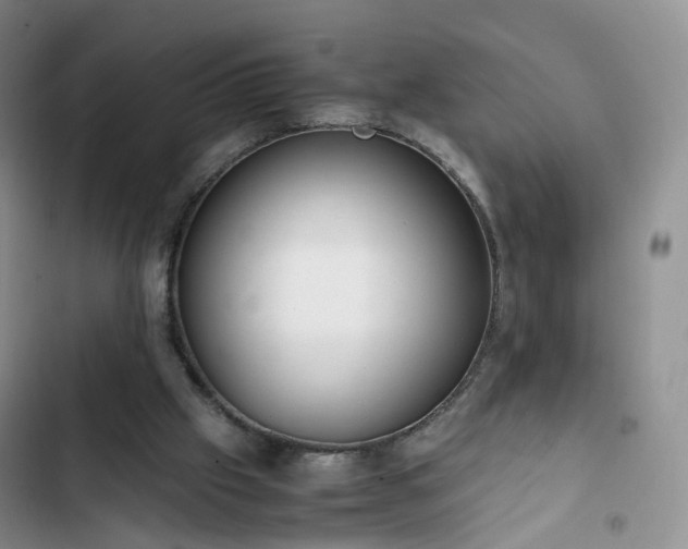 X0000102760057200808251038