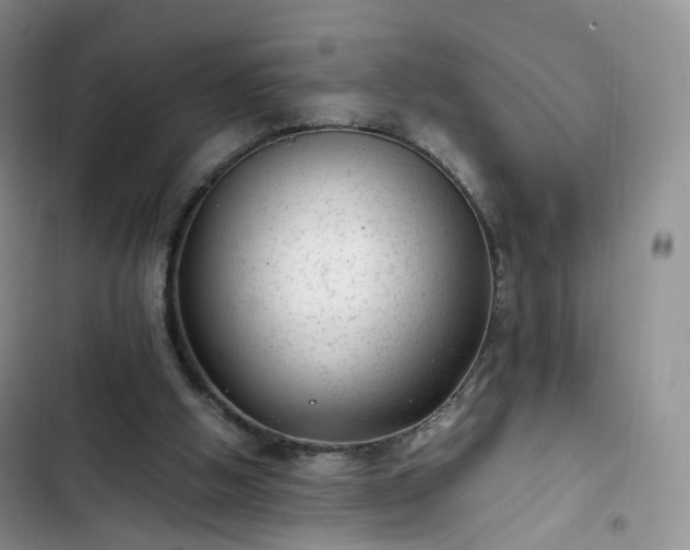 X0000102760058200808251038