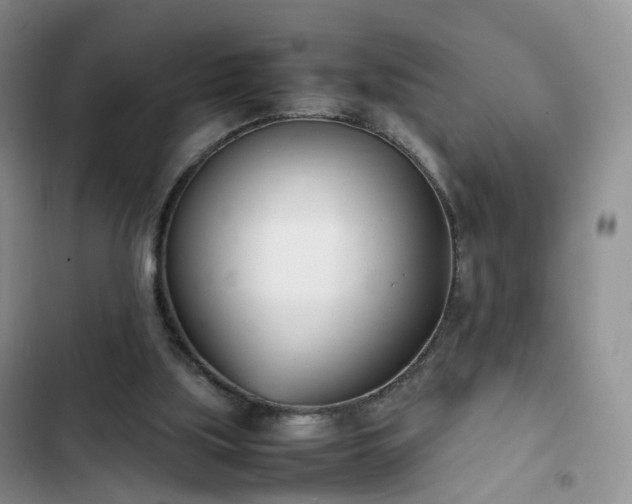 X0000102760059200808251038