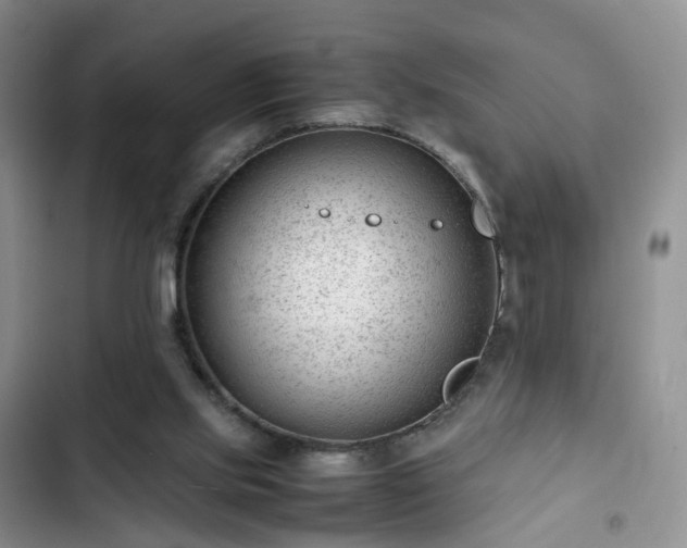 X0000102760061200808251038