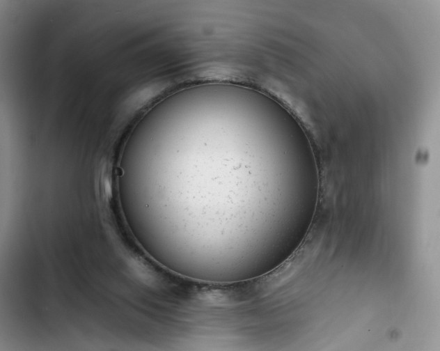 X0000102760062200808251038