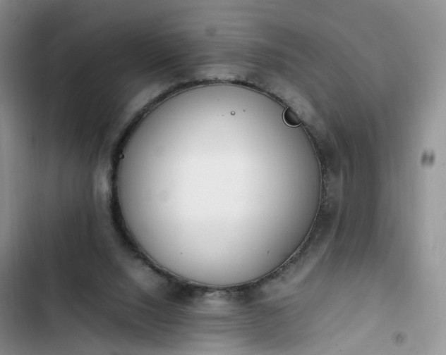 X0000102760064200808251038