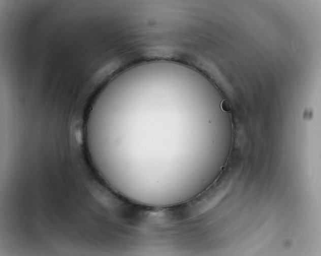 X0000102760068200808251038