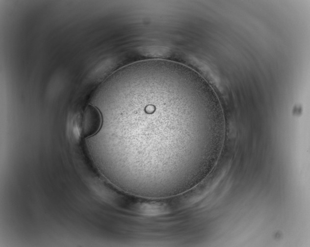 X0000102760069200808251038