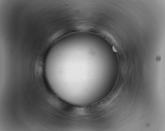 X0000102760071200808251038