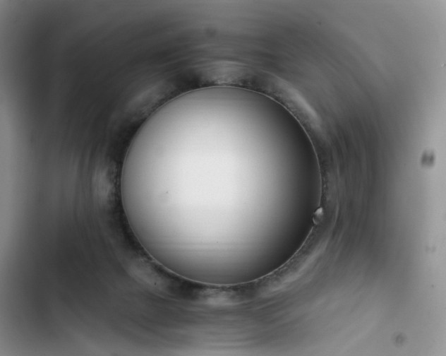 X0000102760073200808251038