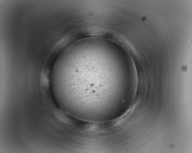 X0000102760074200808251038