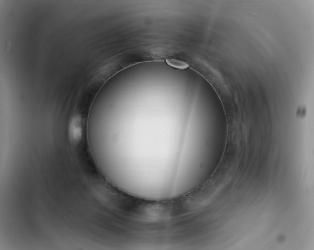 X0000102760075200808251038