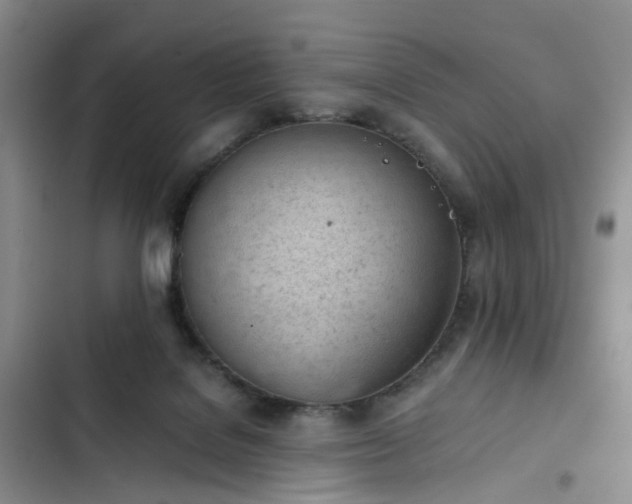 X0000102760076200808251038