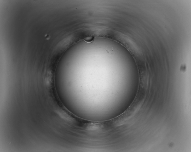 X0000102760077200808251038