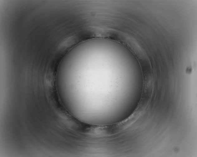 X0000102760078200808251038