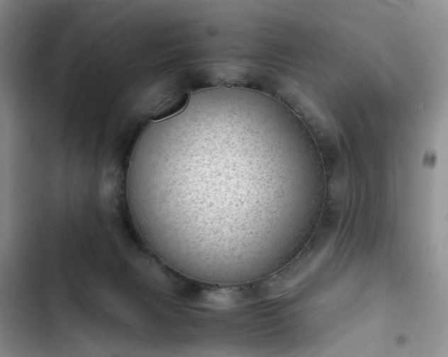 X0000102760079200808251038