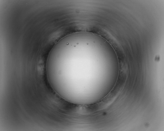 X0000102760080200808251038