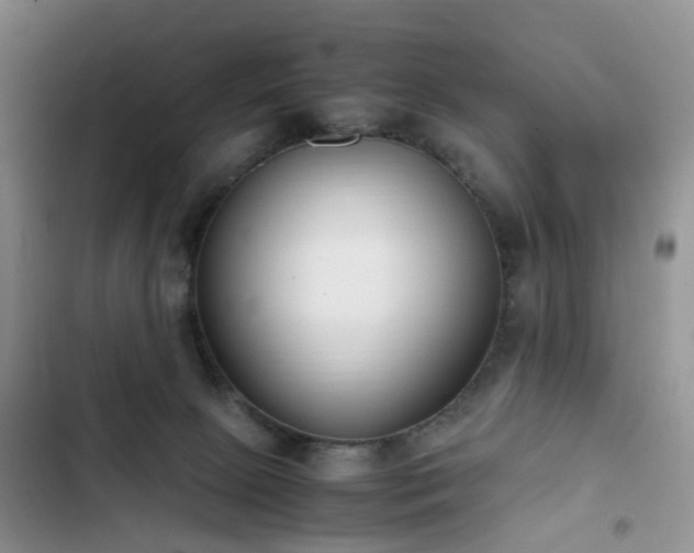 X0000102760081200808251038