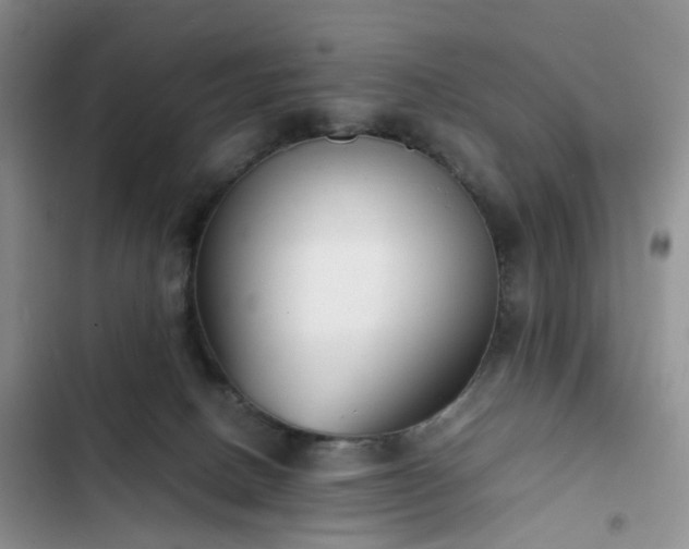 X0000102760082200808251038