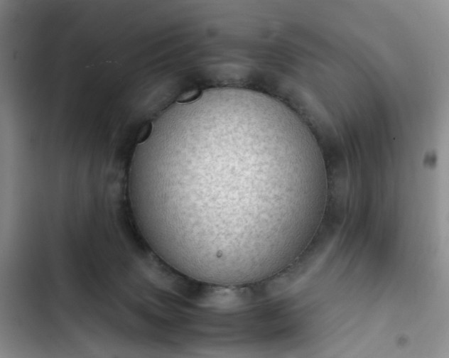 X0000102760083200808251038