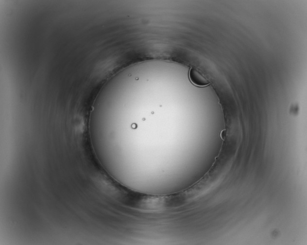 X0000102760084200808251038