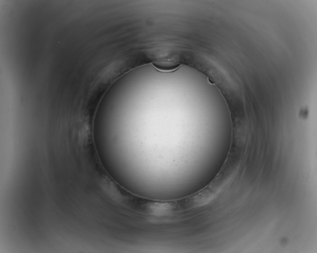 X0000102760085200808251038