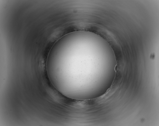 X0000102760086200808251038