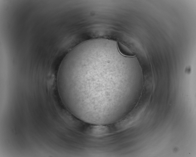 X0000102760087200808251038