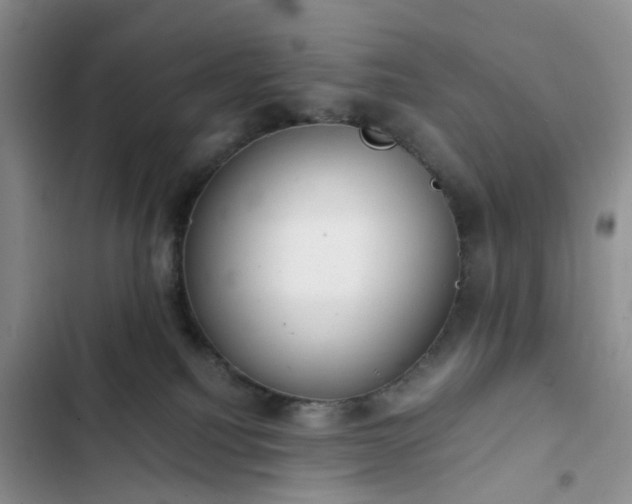 X0000102760088200808251038