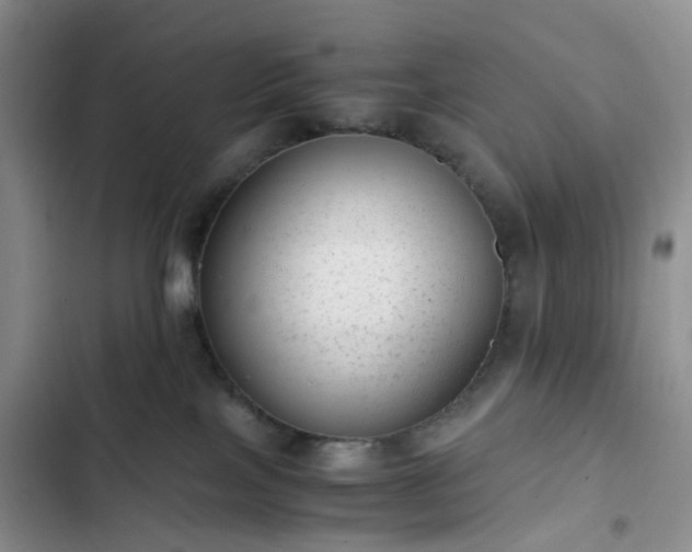 X0000102760089200808251039