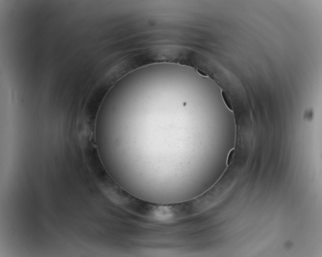 X0000102760091200808251039