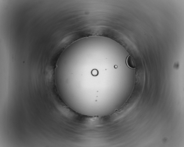 X0000102760092200808251039