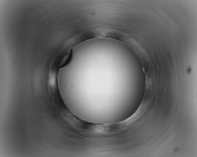 X0000102760094200808251039