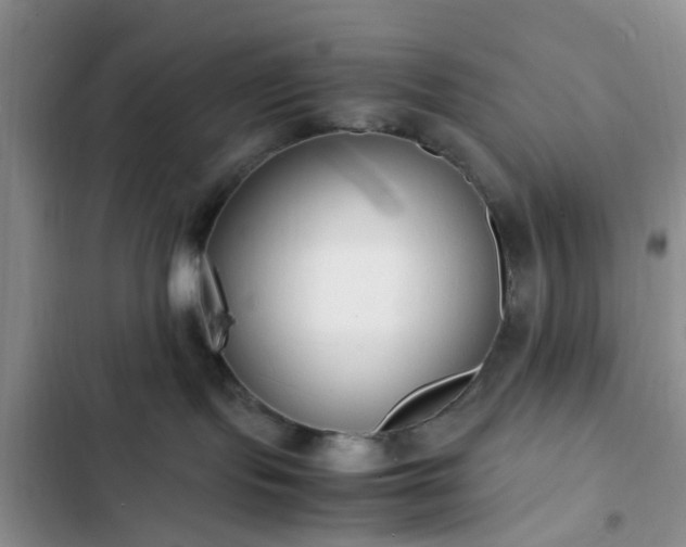 X0000102760095200808251039