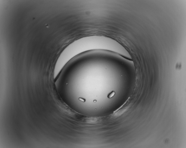 X0000102760096200808251039