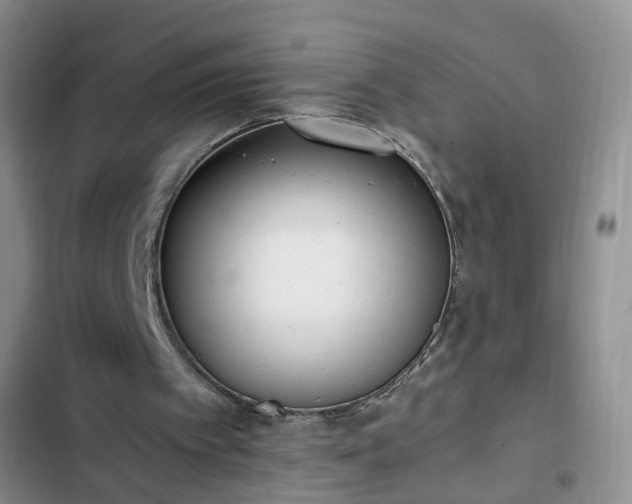 X0000102760097200808251038